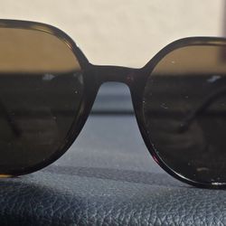 RayBans Polarized 