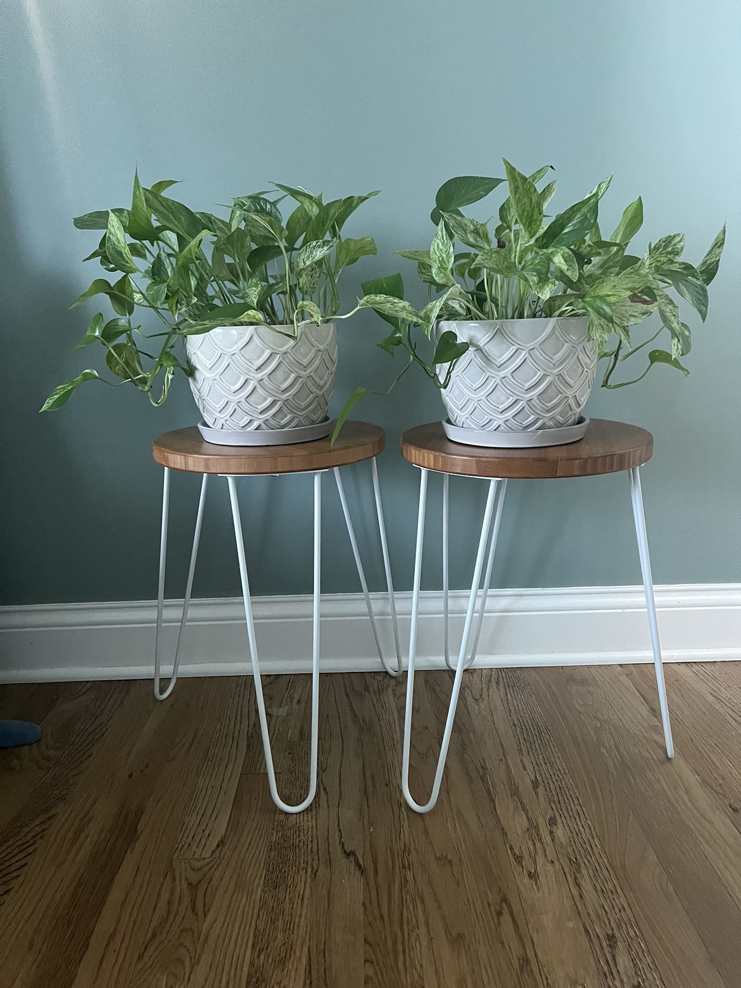 Set of 2 Matching Plant Pots With Plants Included. Side Table NOT Included 