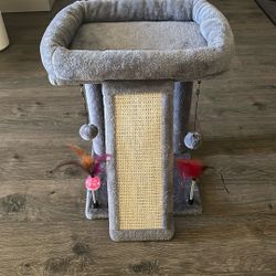 Kitten Bed/Scratch Post
