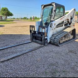 Bobcat