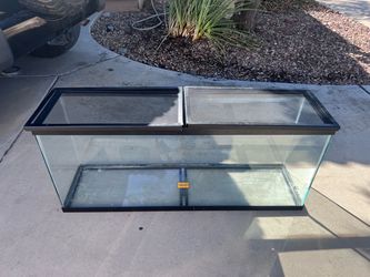 Large Glass Aquarium Tank with Screen Lid
