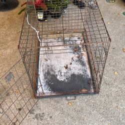 Large Dog Crate 