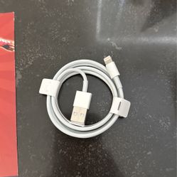 Apple Phone charger