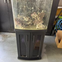 BioCube 32 Gallon 