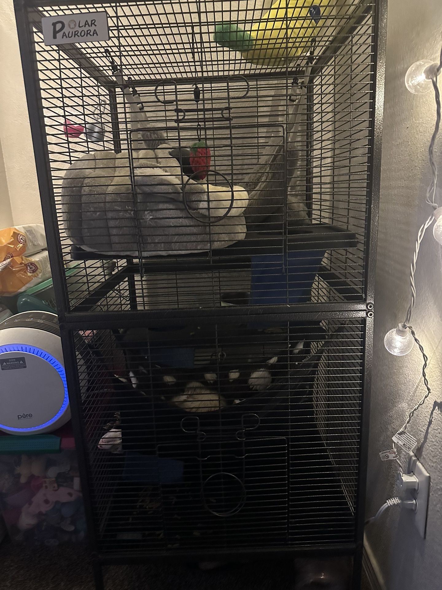 Ferret Cage