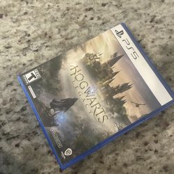Hogwarts Legacy Ps5
