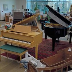 Chickening Grand Piano With Matching Bench