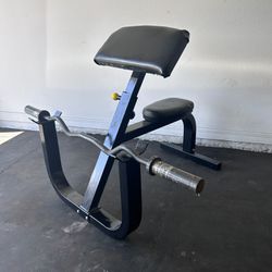 Curl Bench / Station with Barbell