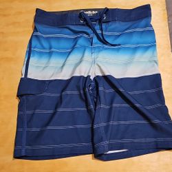 GoodFellow & Co Blue Board Shorts 