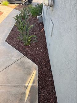 Free Mulch