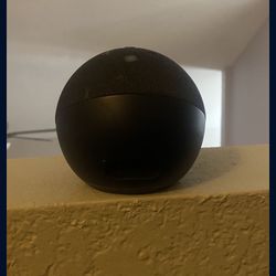Black Alexa 