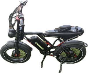 Amyet S8 Dual Motor eBike