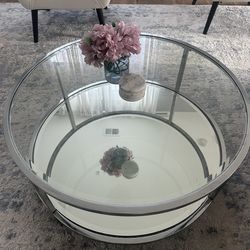Glass and Metal Coffee Table