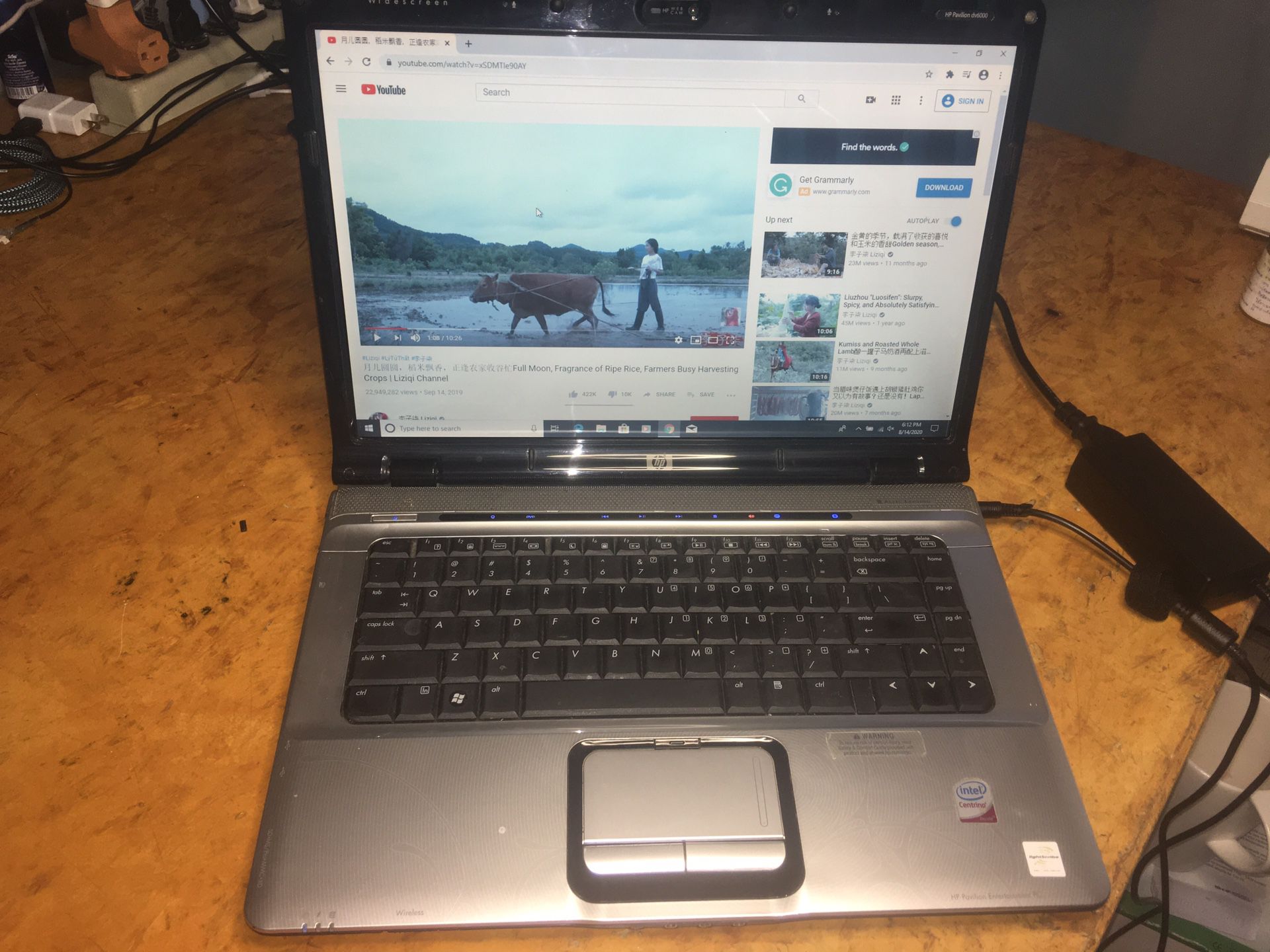 HP Pavilion dv6000 laptop $140