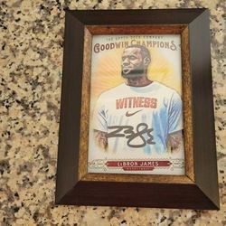 LeBron James 2018 Upper Deck Goodwin Champions autographed framed