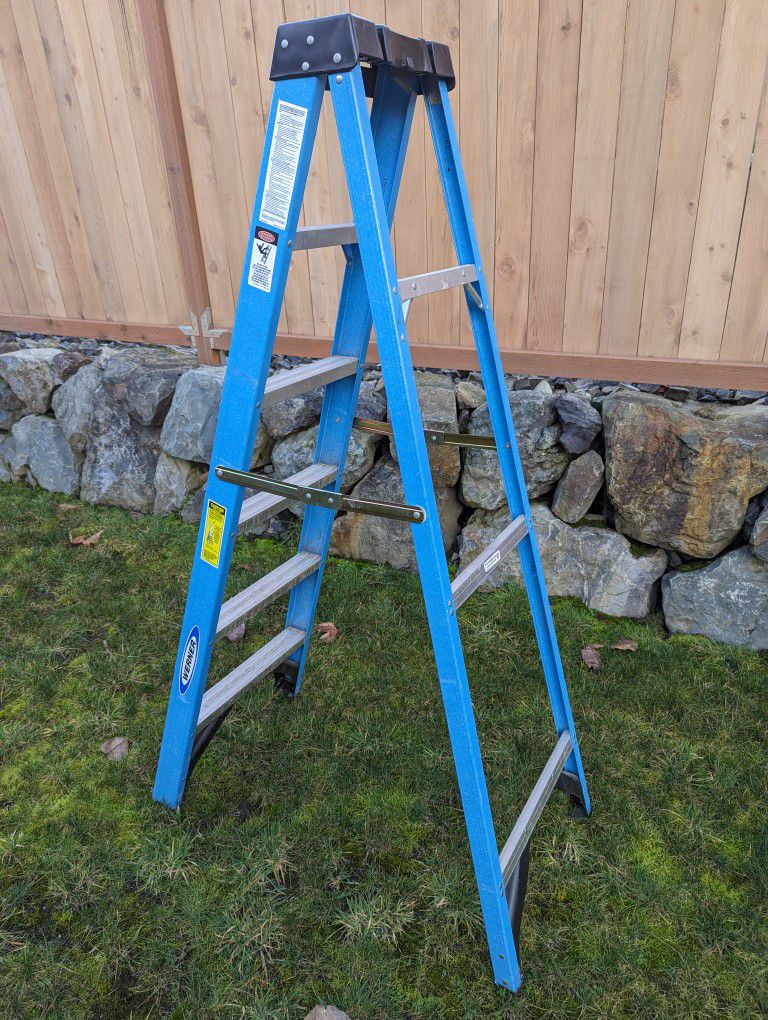 Werner 6 Foot Fiberglass Step Ladder