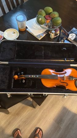 Viola