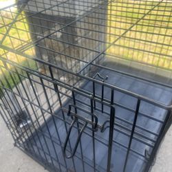 Dog Cage Brand New Never Been Used 