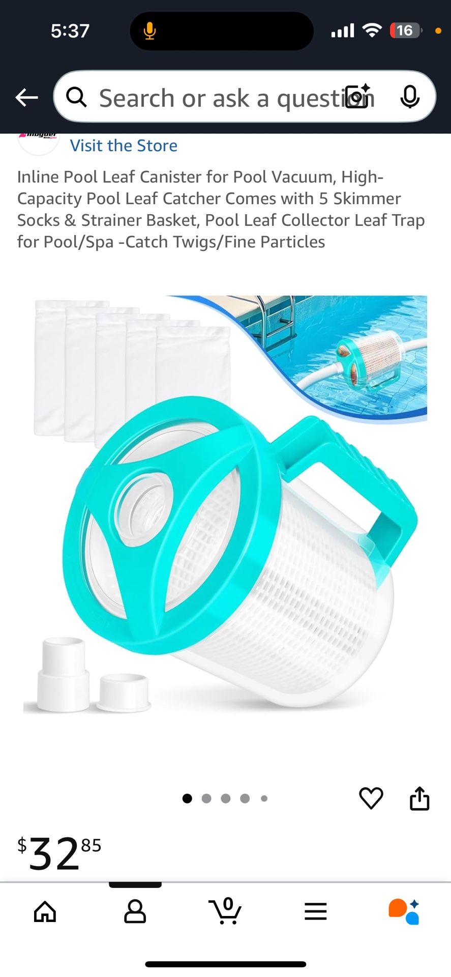 Pool leaf canister