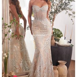 Silver And Nude Dress