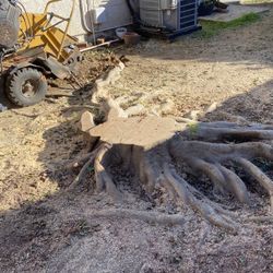 Stump Grinder Grinder Grind Grinding