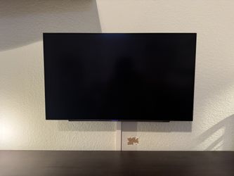 LG OLED Gaming Monitor
