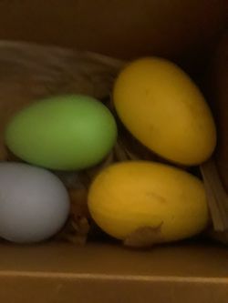 Xx-Large eggs $5.00 cash only (serious buyers)