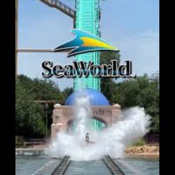 SEA WORLD 🌊🐳🐠🐙🐬(4) TICKETS 🎟️ 🎟️🎟️🎟️ $180 PRICE FIRM 