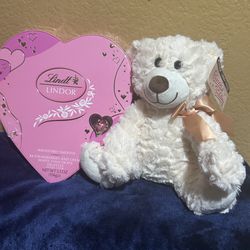 Chocolate Big Heart/Plush Bear Graduation Birthday Gift $10 