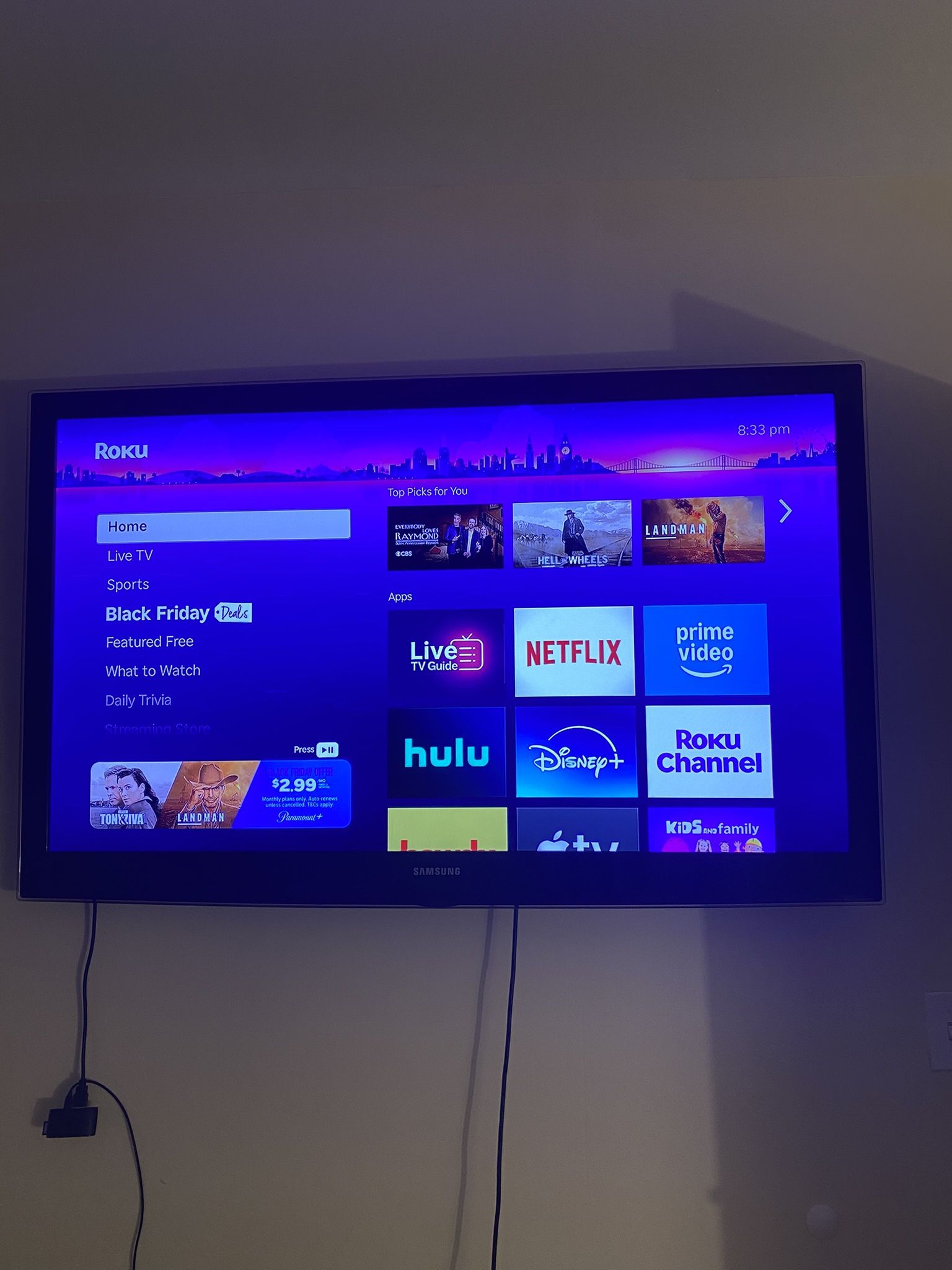 60 Inch TV + Roku