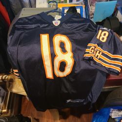 Chicago Bears "Orton" Jersey Large