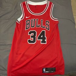 Wendell Carter jr bulls jersey