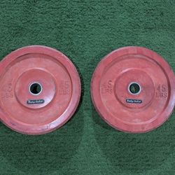 45lbs Bumper Plates 