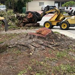 Stump Grinding Tree Trimming 