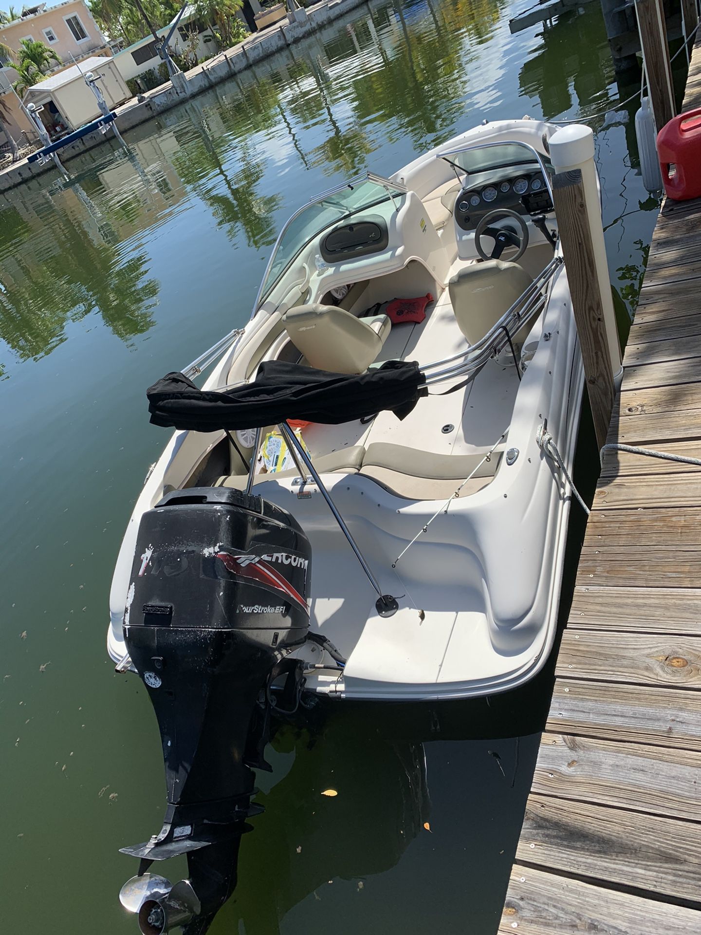 Mercury sea ray