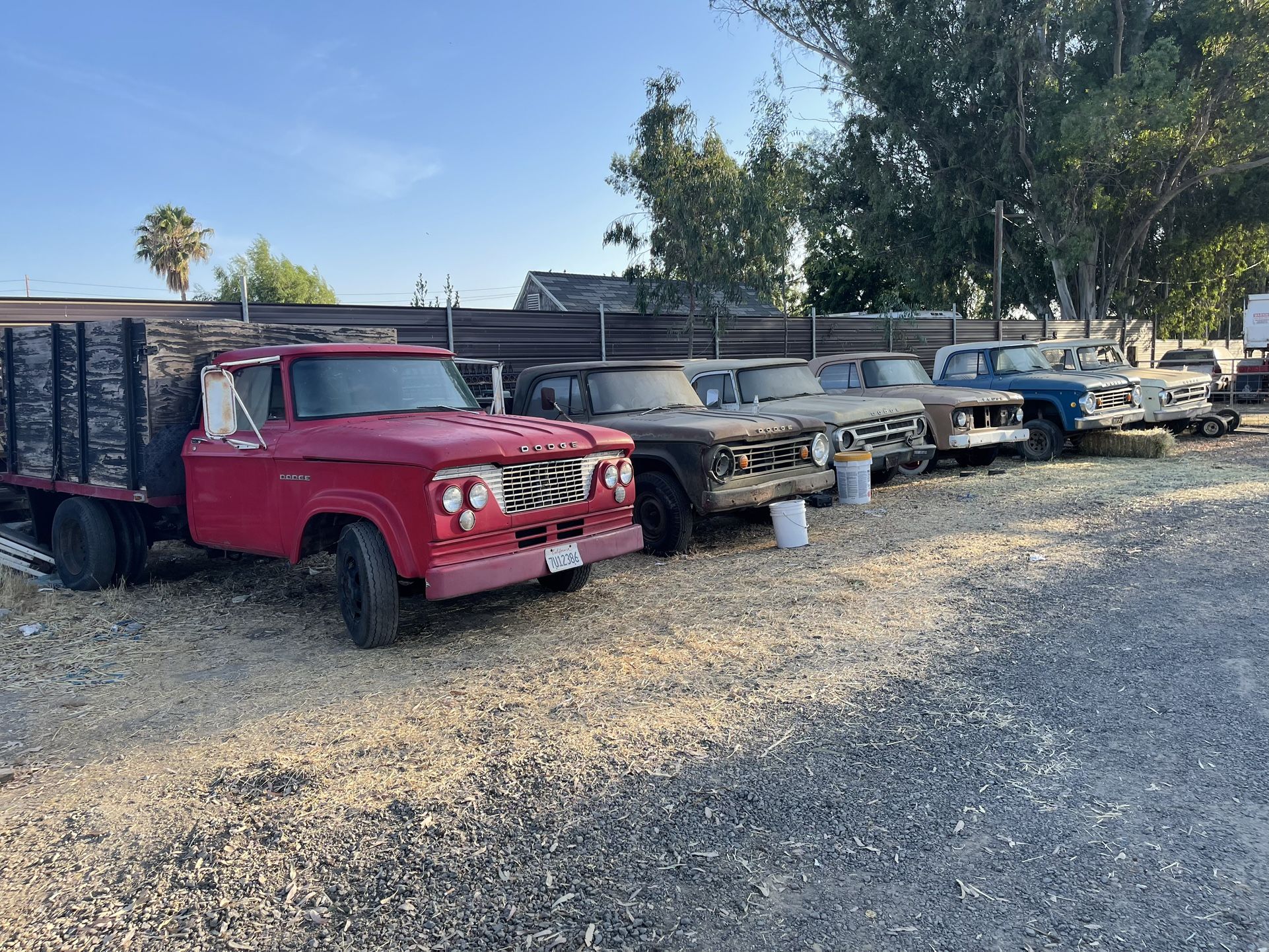 D100 Dodge D200 D300 Sweptline