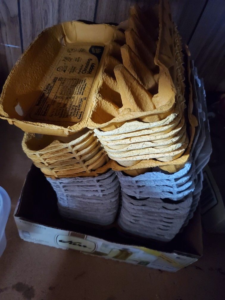 Egg Cartons