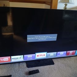 65 Inch Vizio Flat Screen TV 