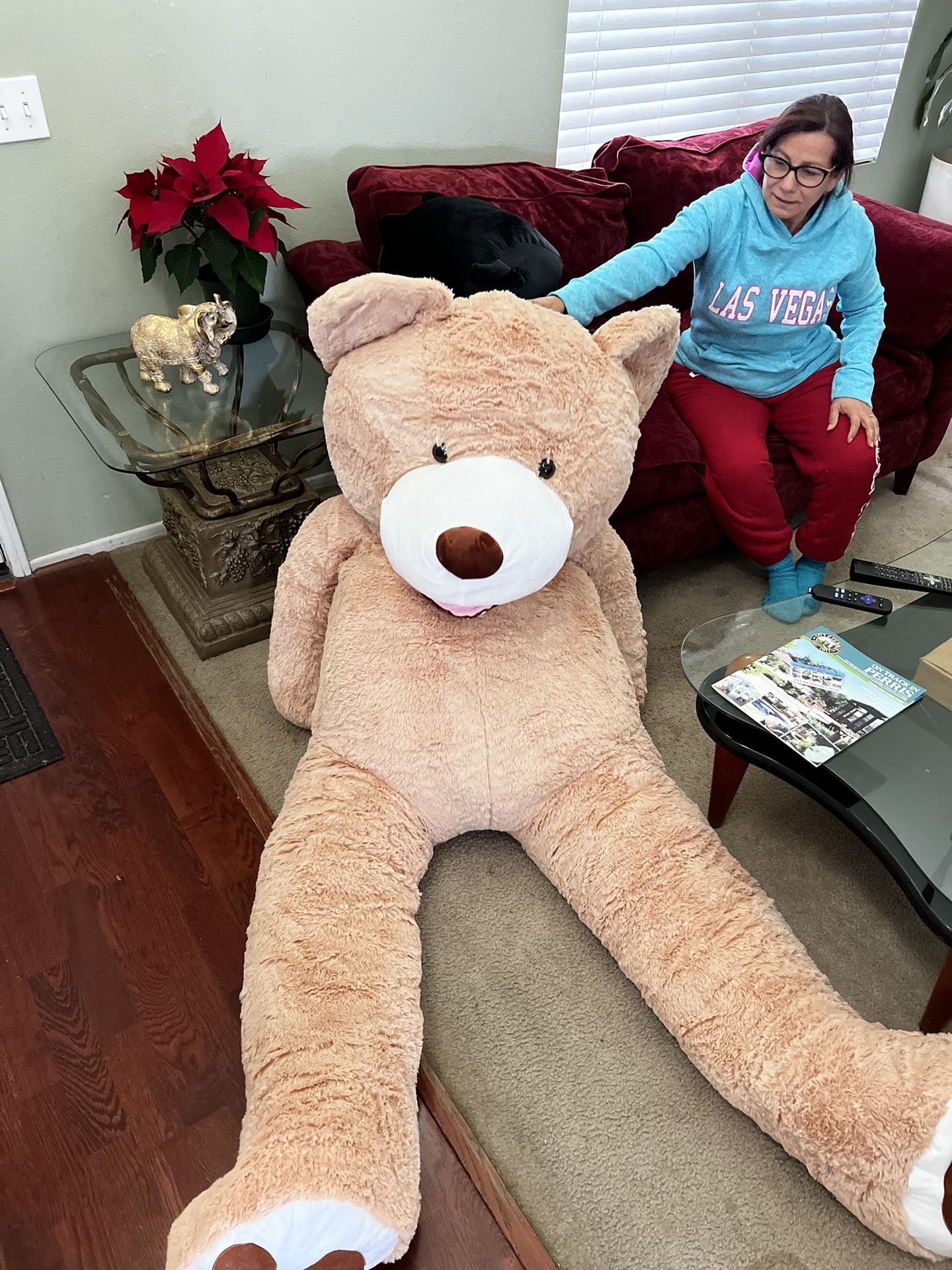 Big Teddy Bear 