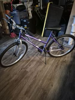 15 speed girls bike