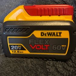 Dewalt Flexvolt 20V And 60V Max 12 Ah Batterie 