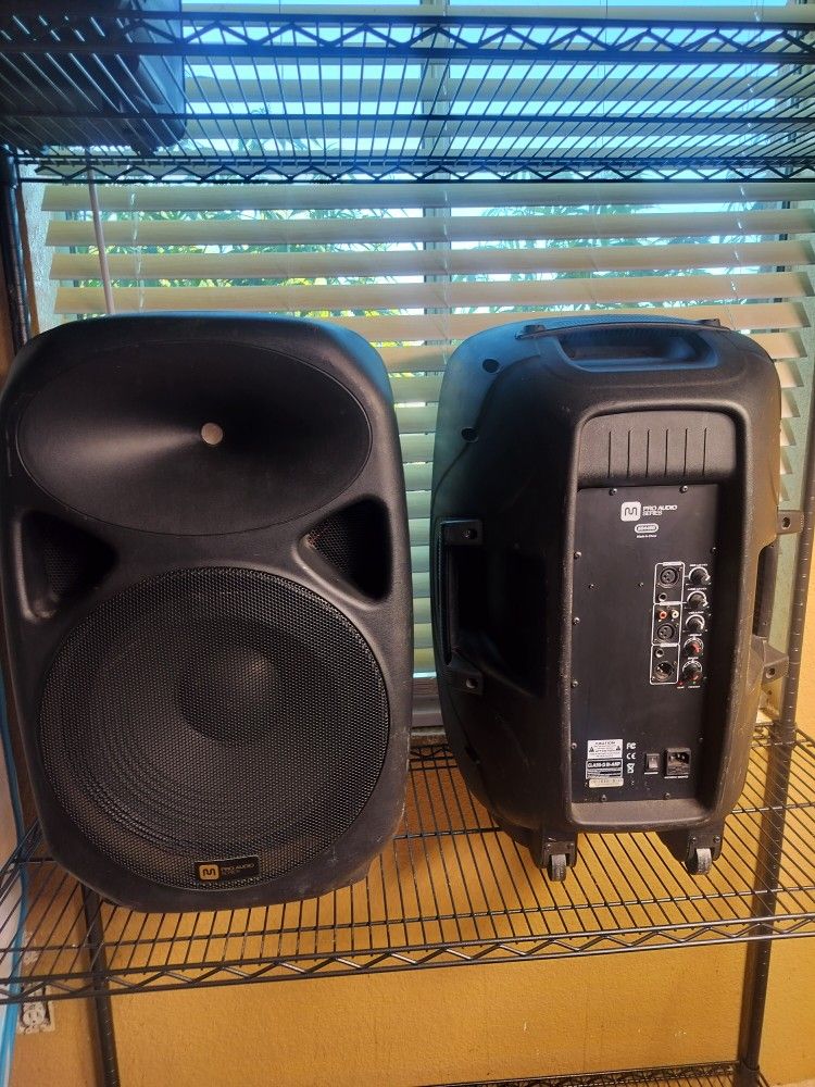 15 Inch Speakers Pro Audio Series
