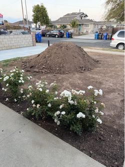 Free dirt