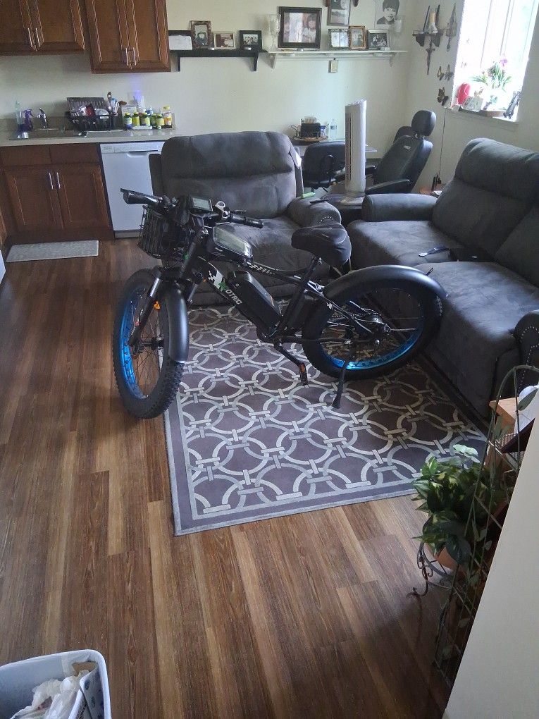Fat Tire E Bike For Sale