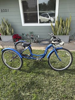 Schwinn Meridian