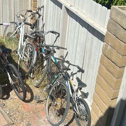 Free Bikes