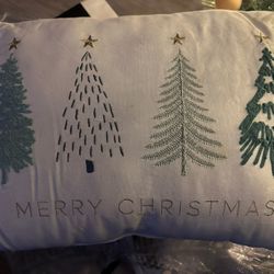2 Christmas Pillows
