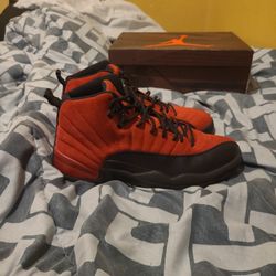 Flu Game Jordan 12 