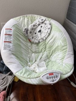 Baby Bouncer