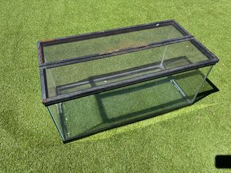 40-gallon breeder tank
